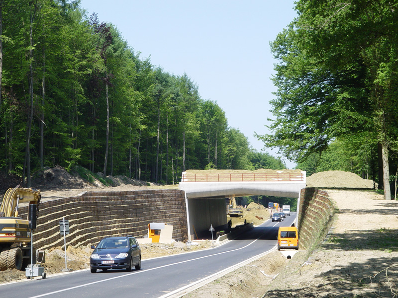 Système de mur vert – écoduct De Warande, Bierbeek